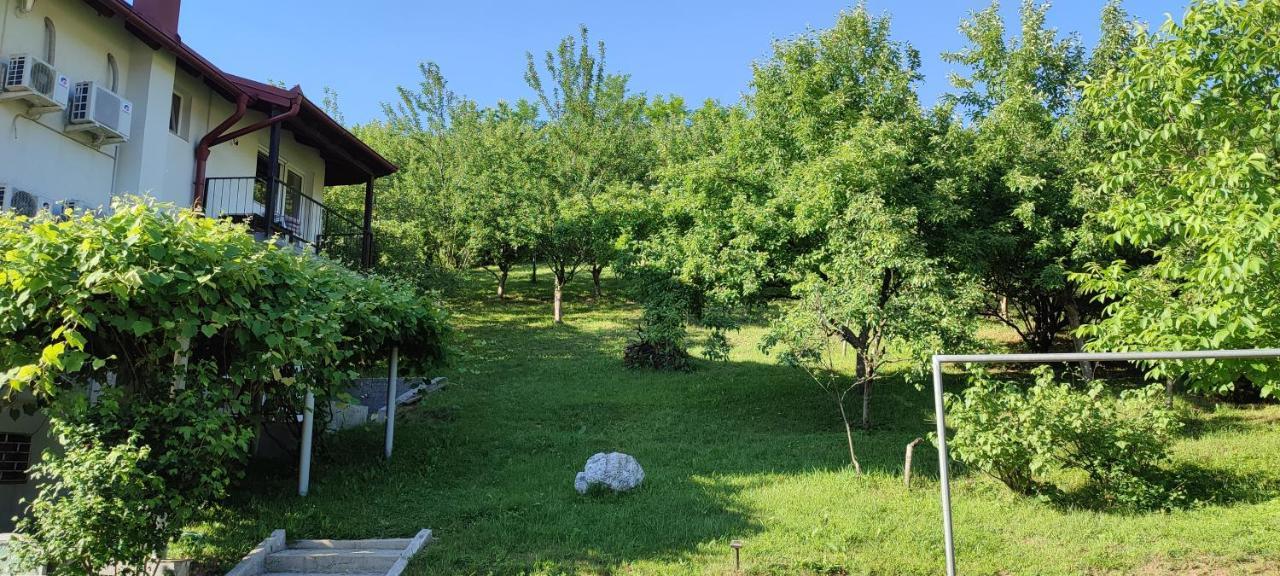 Villa Greenfield Saraybosna Dış mekan fotoğraf